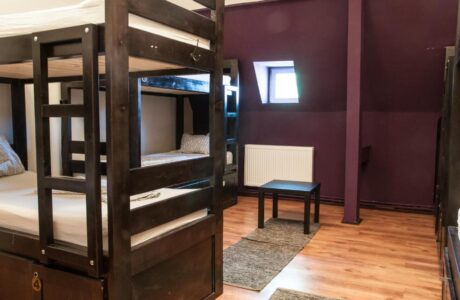 Single Bed in 7-Bed Dormitory Room